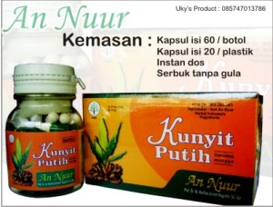 kunyit putih - an nuur herbal indonesia 